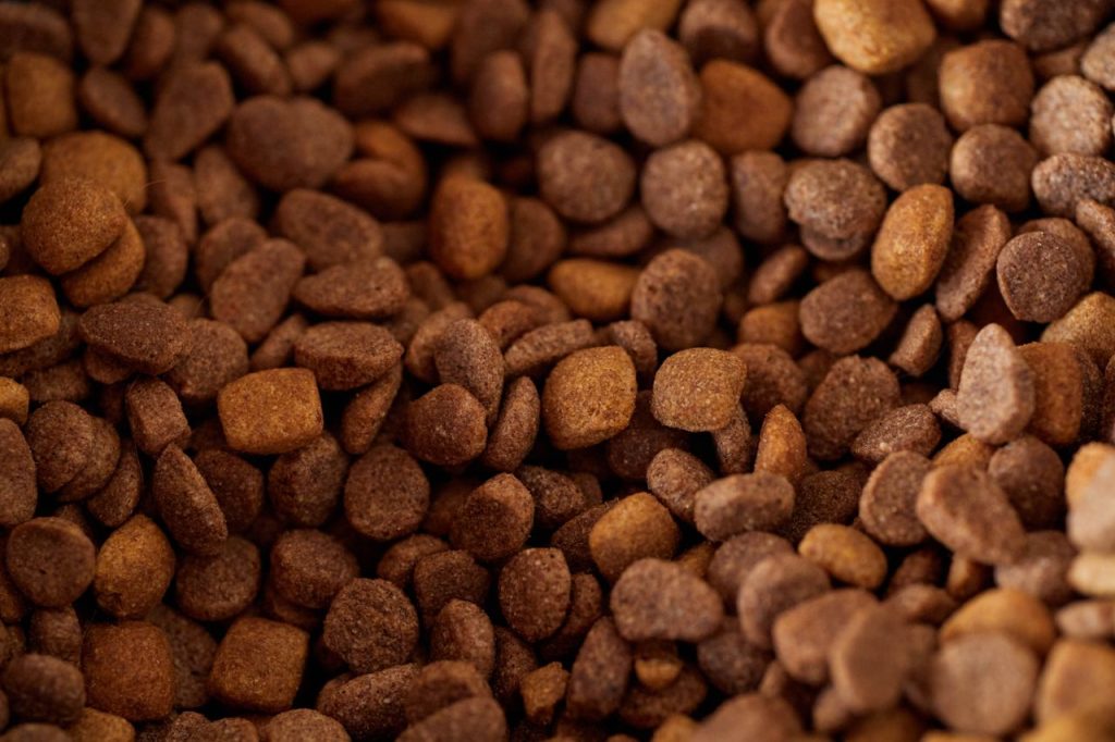 An appetizing close-up of brown dry pet food kibble, perfect for pet nutrition imagery.